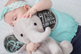Birth Stat Elephant