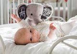 Birth Stat Elephant