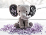 Birth Stat Elephant